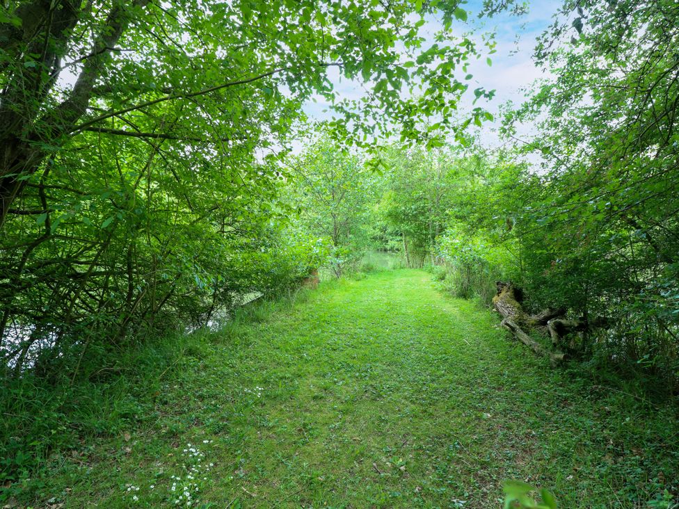 A pathway through greenery at Dragonfly Lodge Whinburgh near Dereham