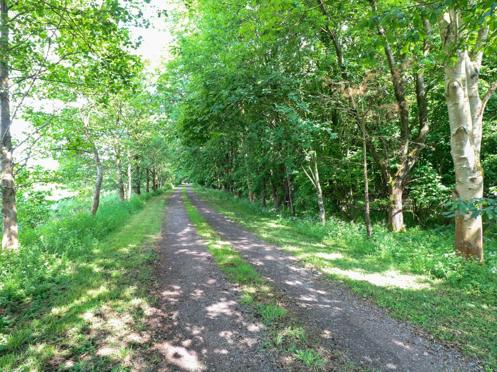 A pathway surrounded by trees at Dragonfly Lodge in Whinburgh near Dereham