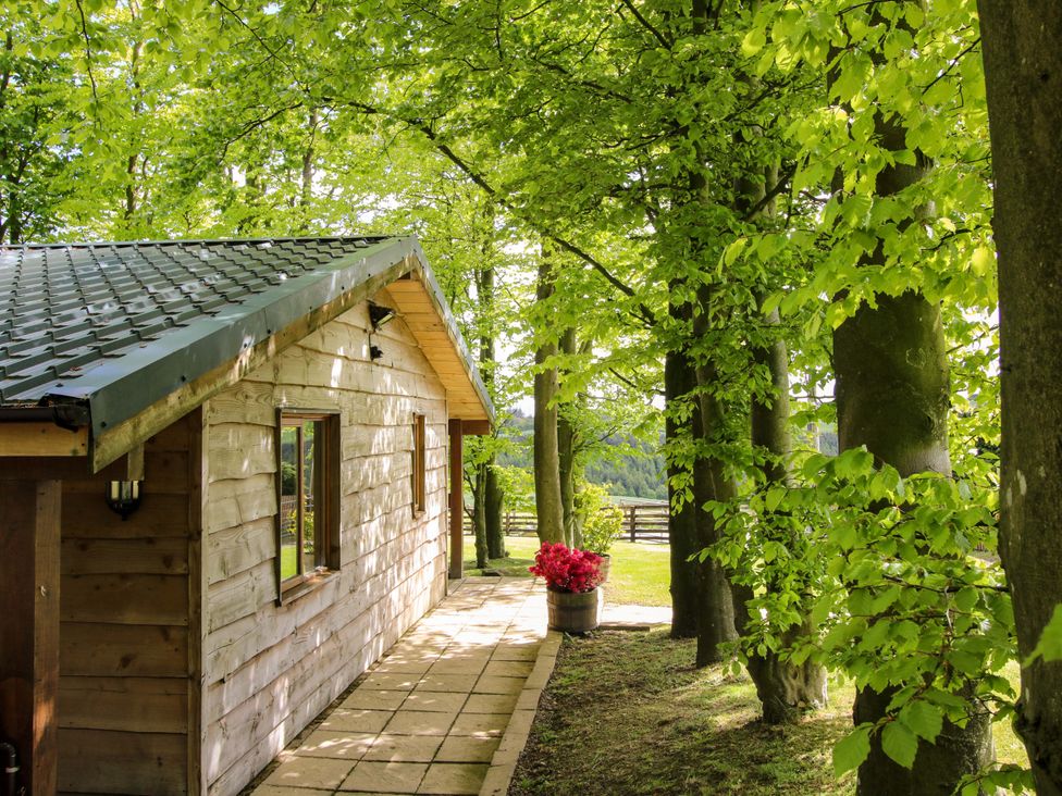 A cabin with trees and a pathway at Valley View Lodge in Welshpool