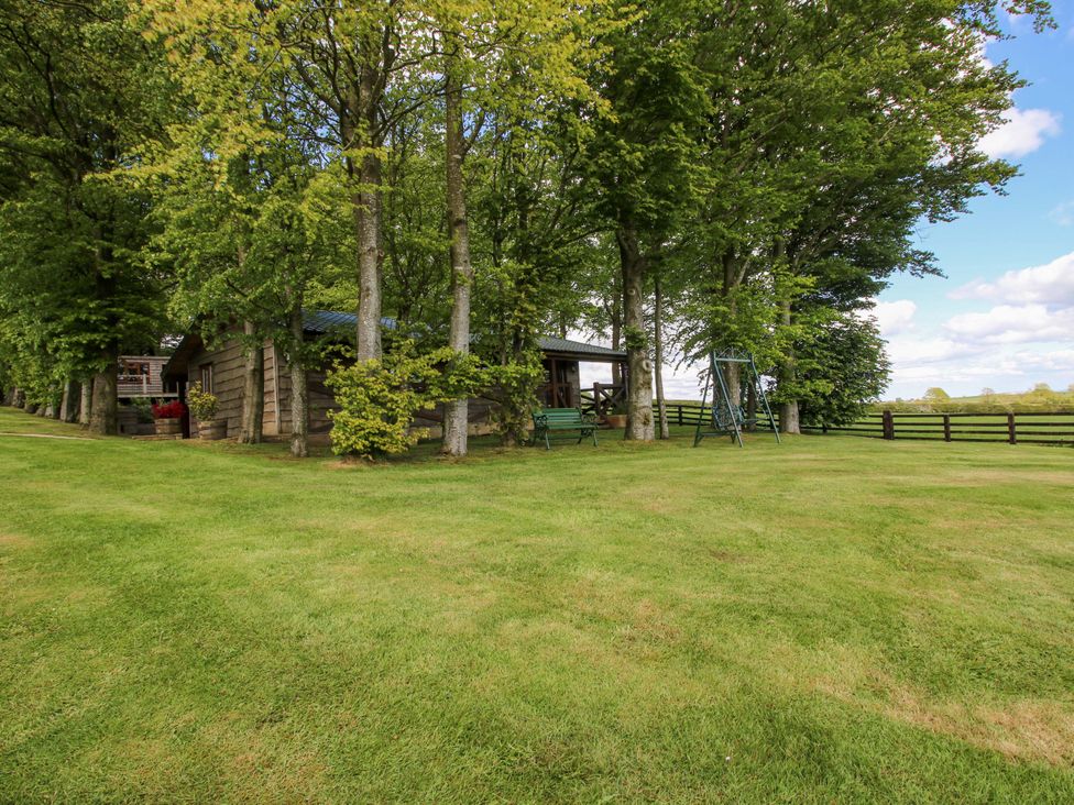 A garden with trees and a bench at Valley View Lodge in Welshpool