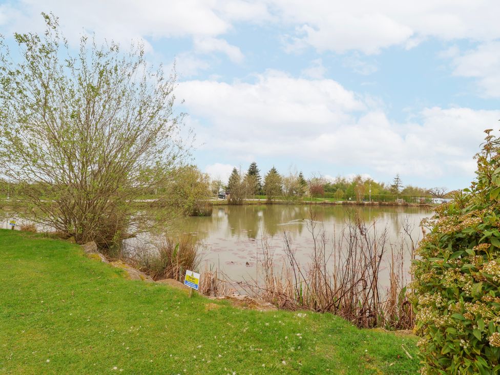 A lake with grass and trees near the shore at Manor Wood in Farndon