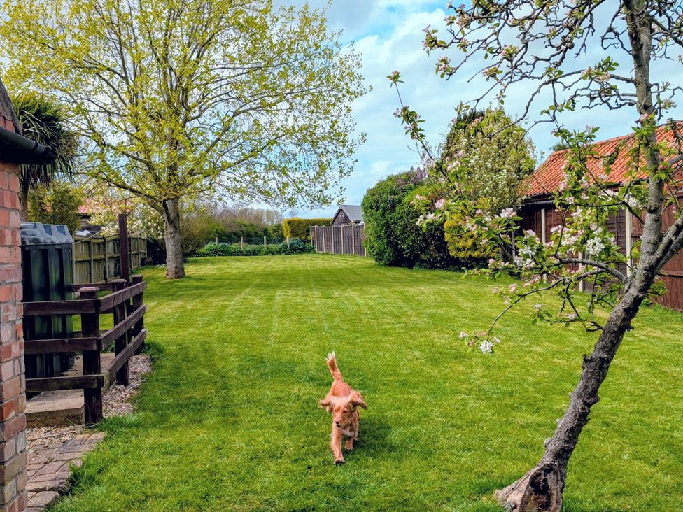A garden with a dog running on grass at Beaconsfield Cottage in Briston