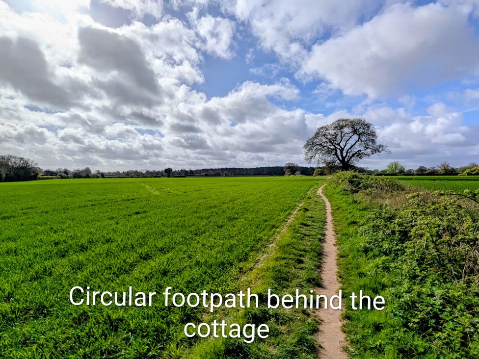 A footpath leading through a field with a tree after Beaconsfield Cottage in Briston