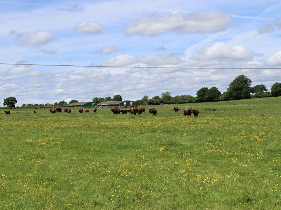 Oxen Cottage @ Nables Farm - Somerset & Wiltshire - 935719 - thumbnail photo 15