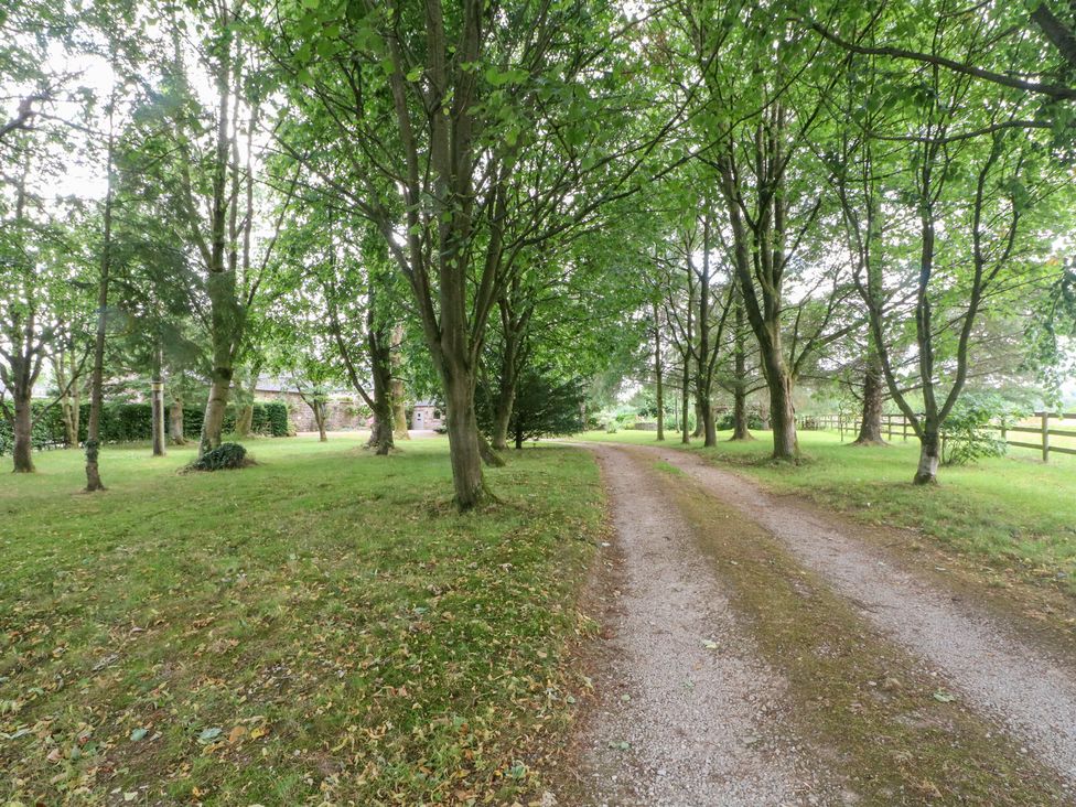 A gravel path surrounded by trees at Lee House Cottage in Cheddleton