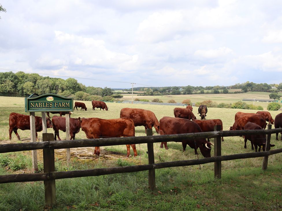 The Farm House @ Nables Farm - Somerset & Wiltshire - 937996 - thumbnail photo 35