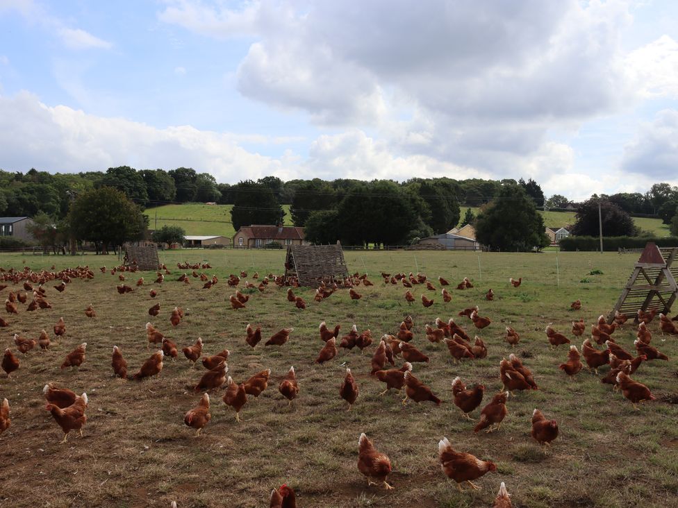 The Farm House @ Nables Farm - Somerset & Wiltshire - 937996 - thumbnail photo 37