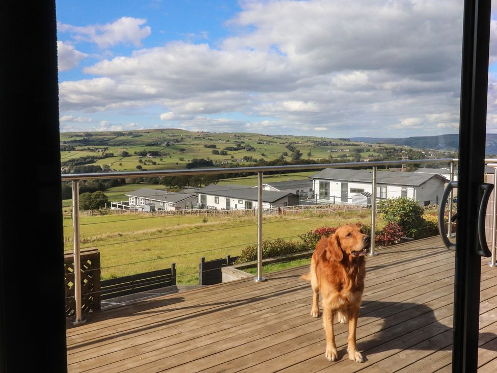 A dog standing on the decking with a view of the landscape at Heath Hideaway