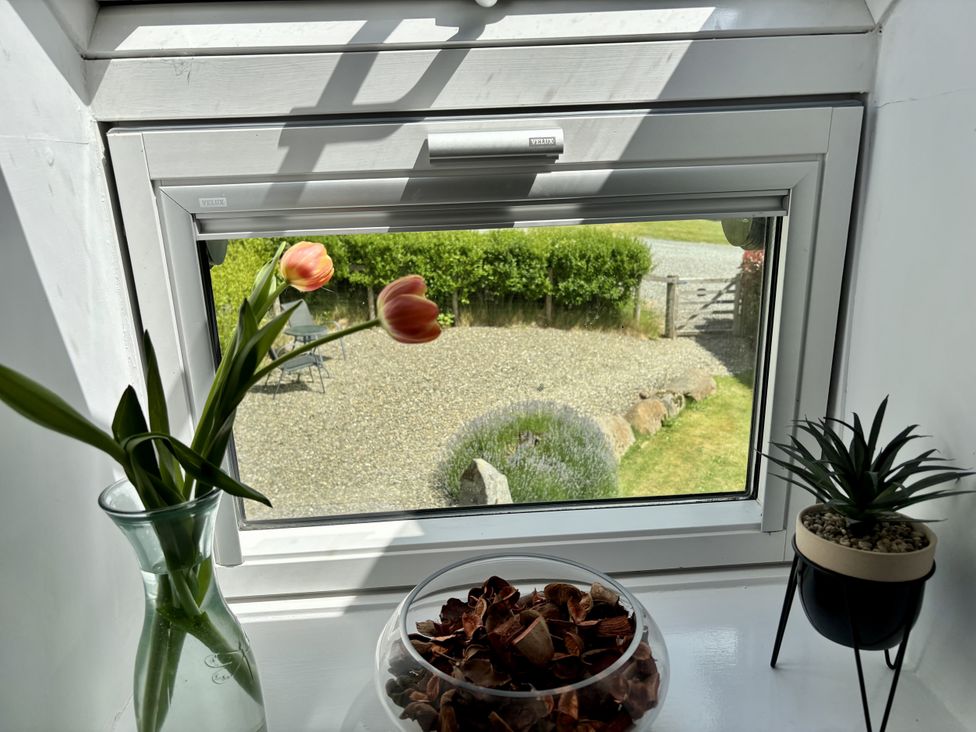 A window with tulips and a decorative bowl at Lloft Gwair - Hayloft in Boncath near Crymych