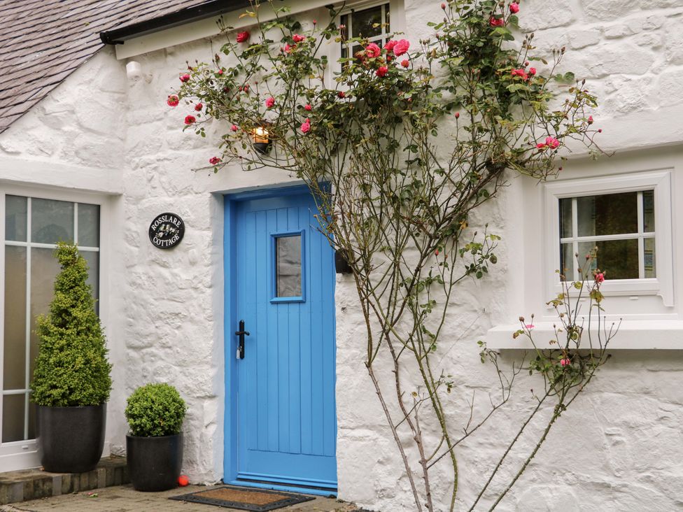 An exterior view of a cottage with a blue door and plants at Rosslare Cottage in Broughshane