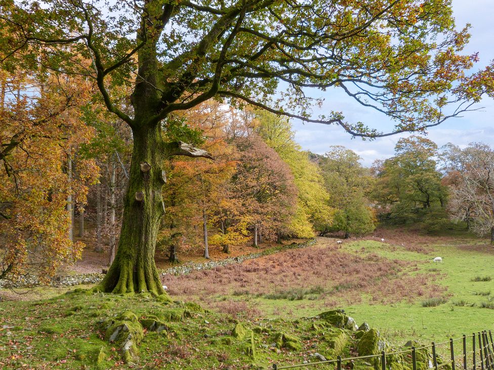 Beech - Woodland Cottages - Lake District - 942520 - thumbnail photo 28