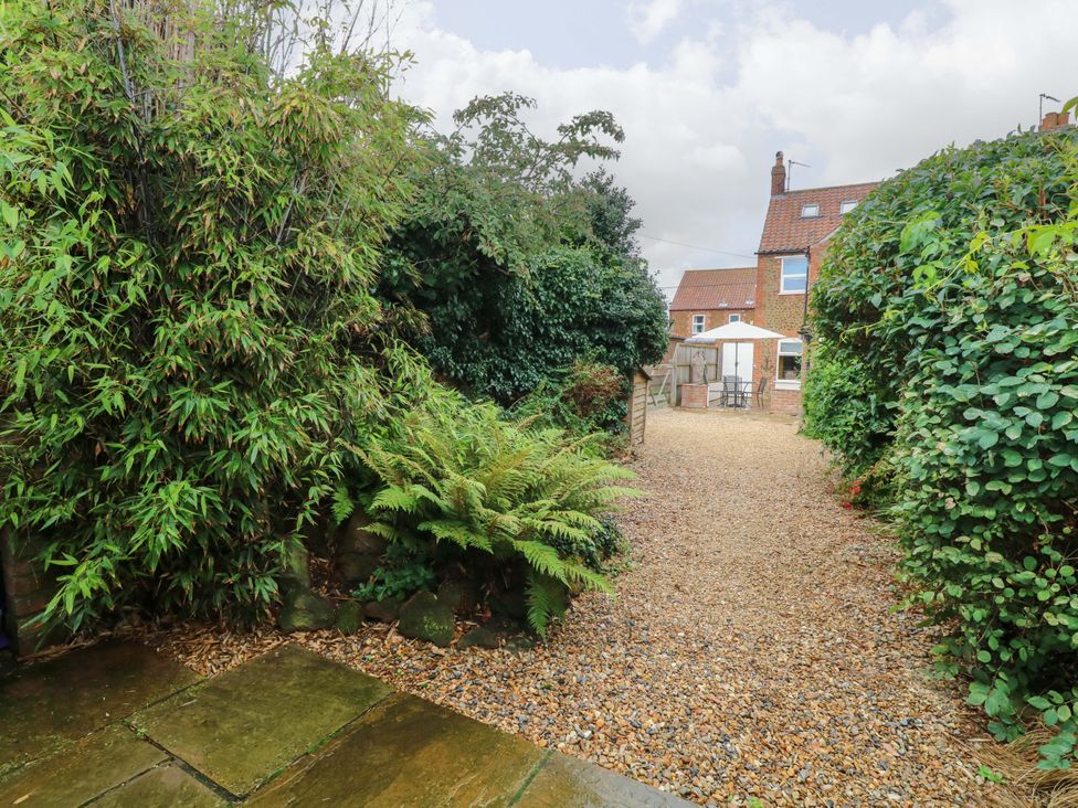 A garden path surrounded by greenery leading to a house at Fern Cottage Heacham