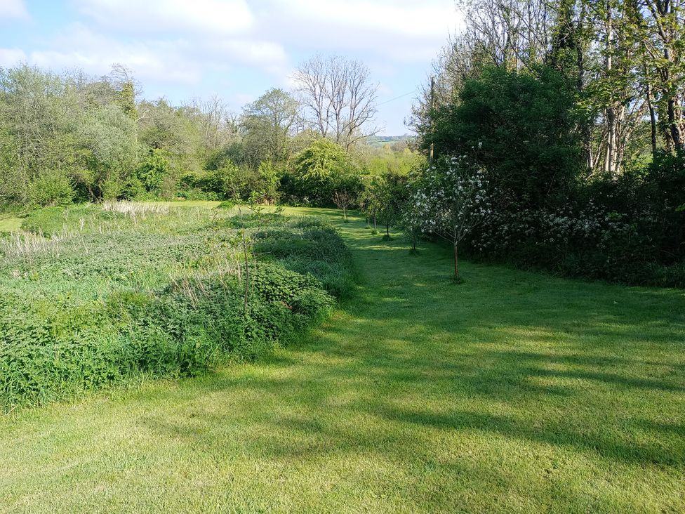A garden area with grass and trees at The Barn at Waunlippa Narberth