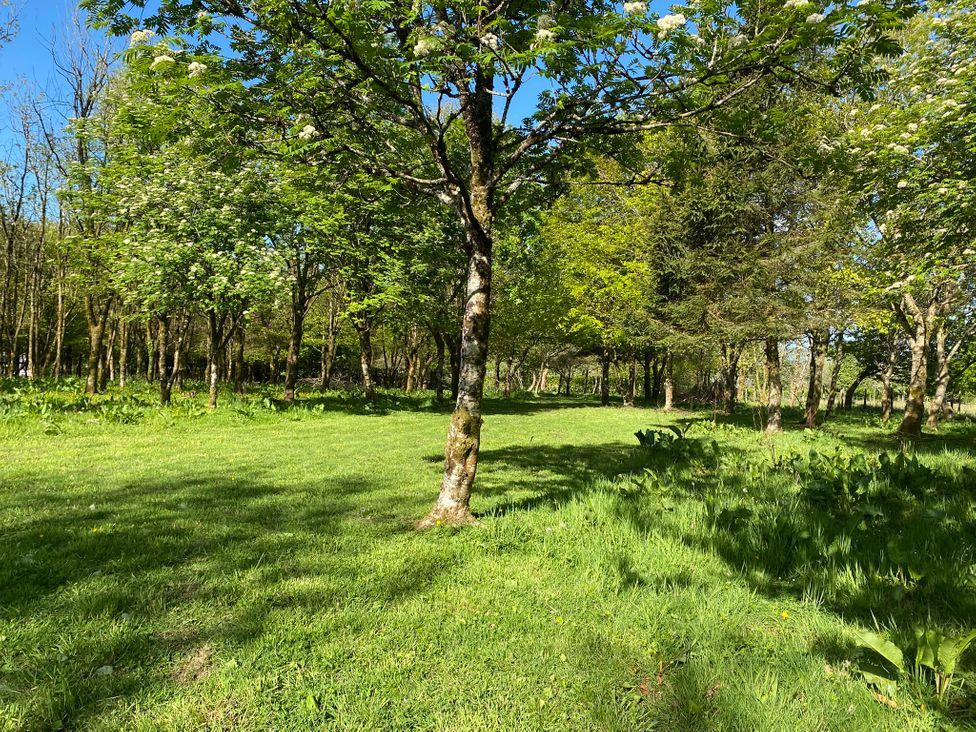 Oak Cottage - South Wales - 943683 - thumbnail photo 28