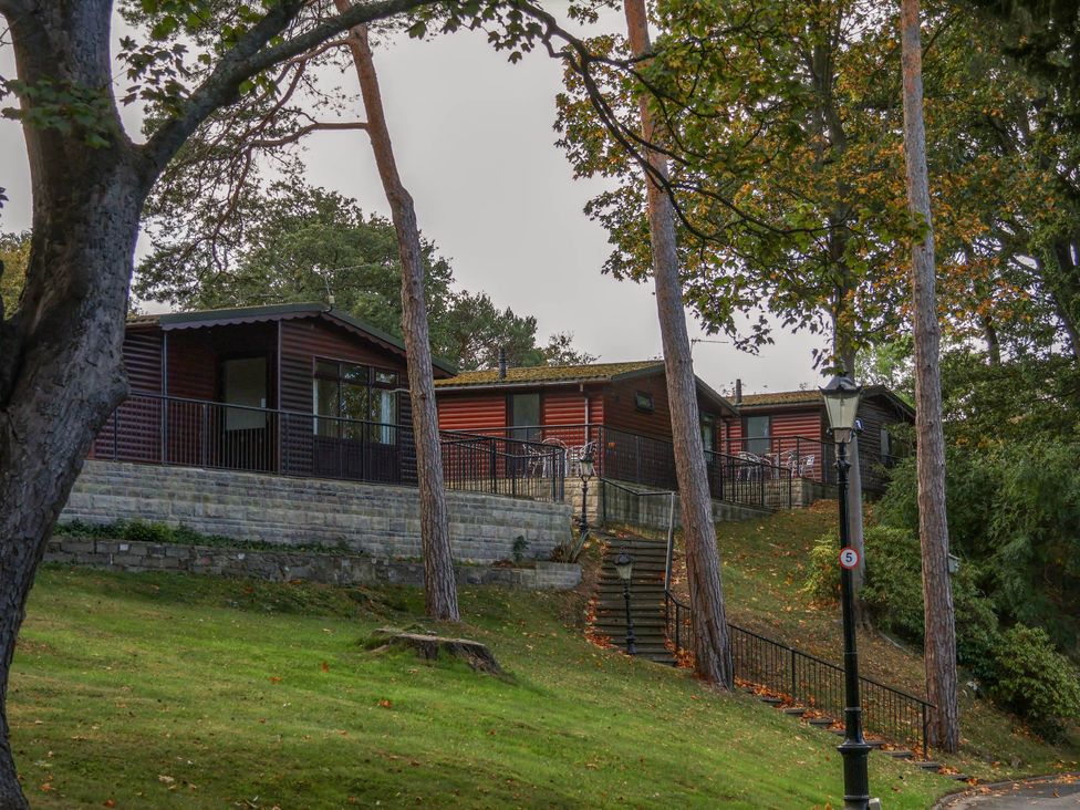 Cabins with steps and trees at Snowdrop in Saltburn-by-the-Sea