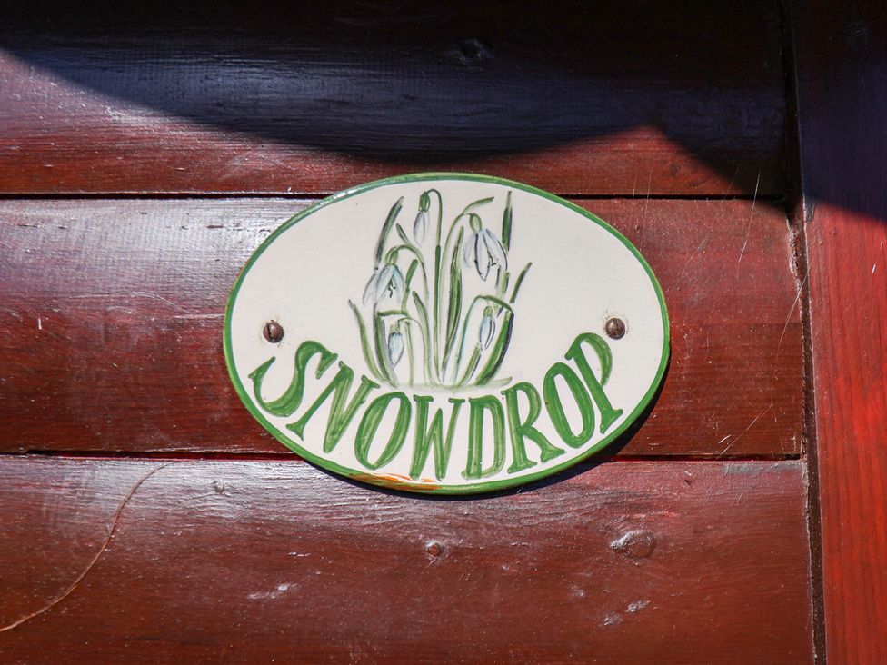 A sign with Snowdrop and plant illustration at Snowdrop in Saltburn-by-the-Sea