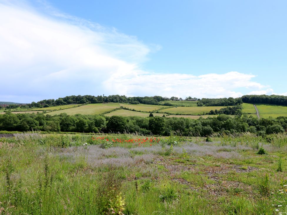 A landscape with fields and trees at Just A Cottage, Newlands Farm in Golden Valley near Riddings and Alfreton