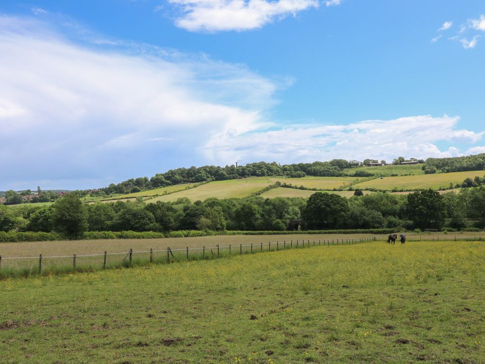 A landscape view with hills and horses grazing at Just A Cottage, Newlands Farm in Golden Valley near Riddings and Alfreton