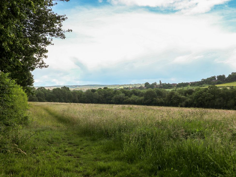 A grass field with trees and a path at Just A Cottage, Newlands Farm in Golden Valley near Riddings and Alfreton