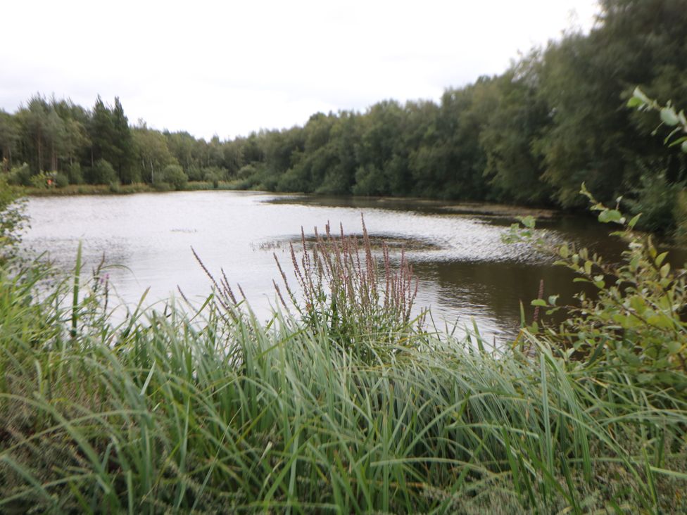 A body of water surrounded by grass and trees at Wensley in Matlock