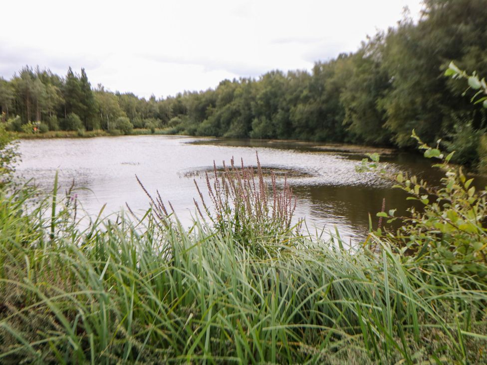 A body of water surrounded by grass and trees at Wensley Matlock