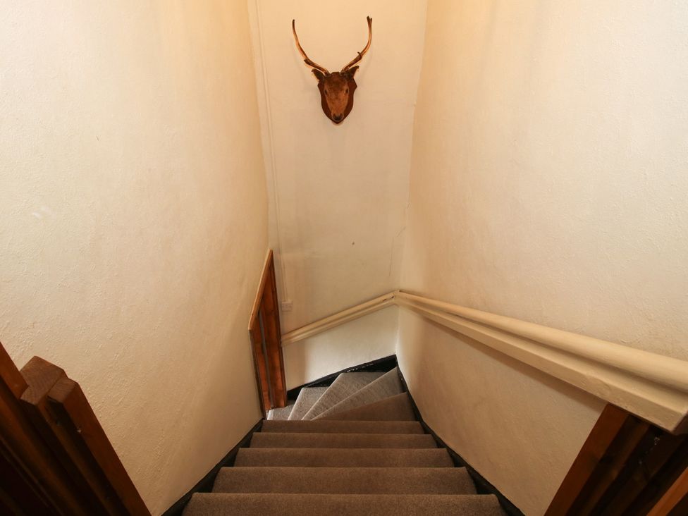 A staircase leading down with a deer head mount at The Old Farmhouse in Westhope
