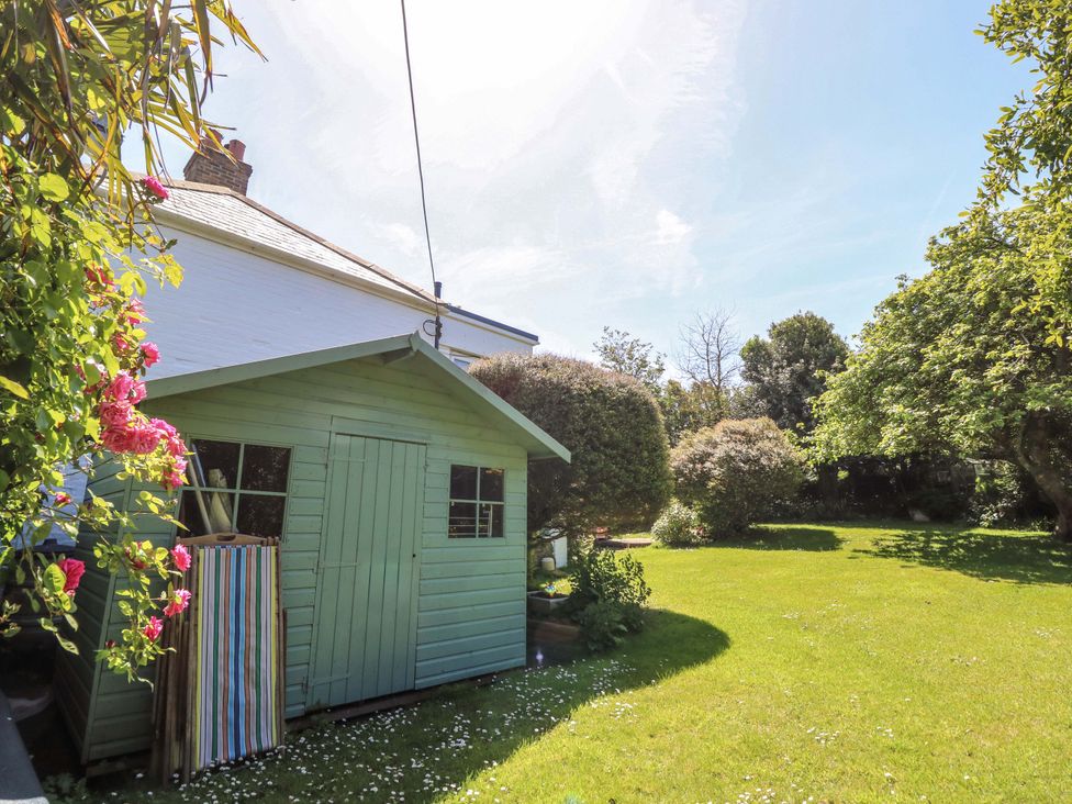 A garden with a green shed and flowers at Sweet Briars in Chale