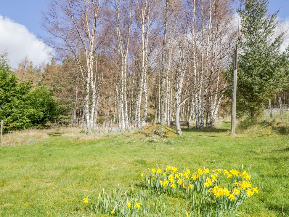 Larchgrove - Scottish Highlands - 950205 - thumbnail photo 24