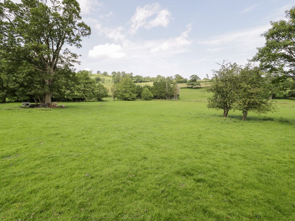 A grassy field with trees and hills at Dyffryn Bach in Glan-yr-afon near Corwen