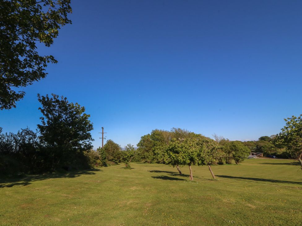 An outdoor area with trees and grass at The Shippons in Abersoch