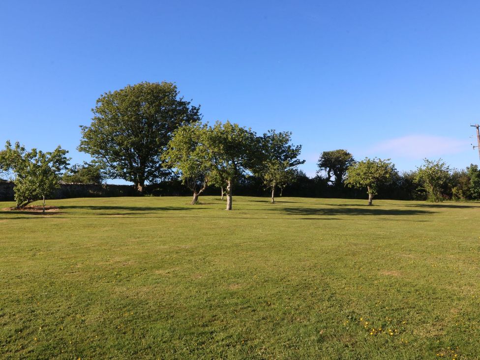 An outdoor area with trees and grass at Ty Woms in Abersoch