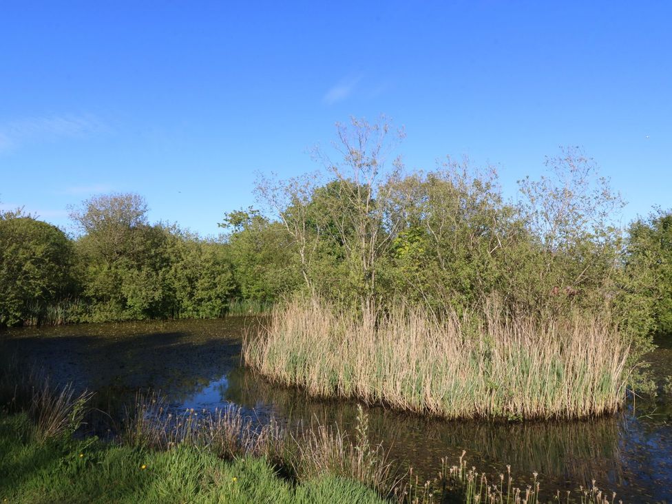 A natural landscape with water and vegetation at Ty Woms in Abersoch