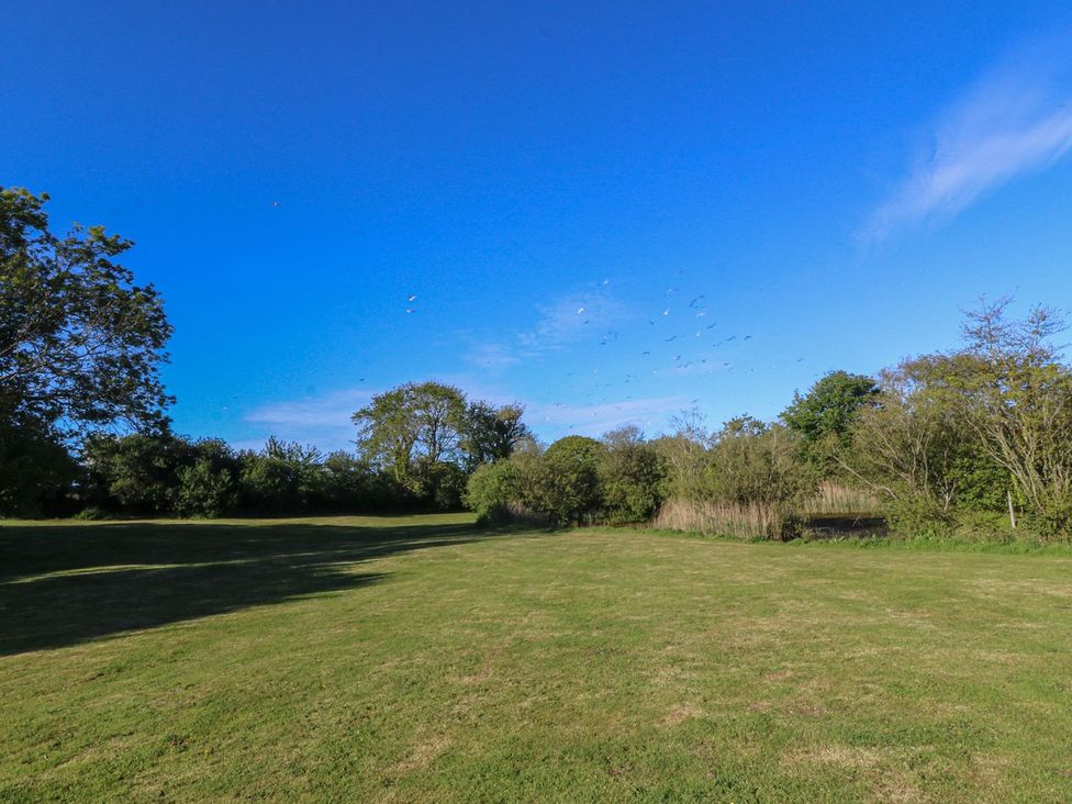 A field with trees and birds in the sky at Ty Woms in Abersoch