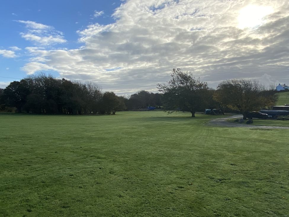 An outdoor view of grass and trees at Y Betws in Abersoch