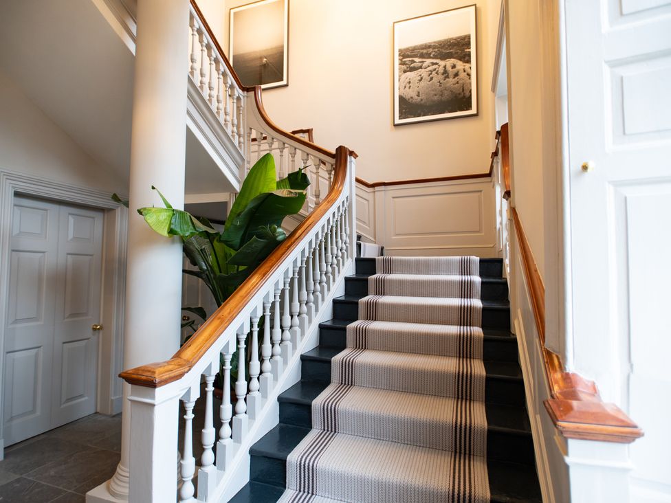 A staircase with a handrail and plant in the hallway at Wren Place Hall in Worsbrough