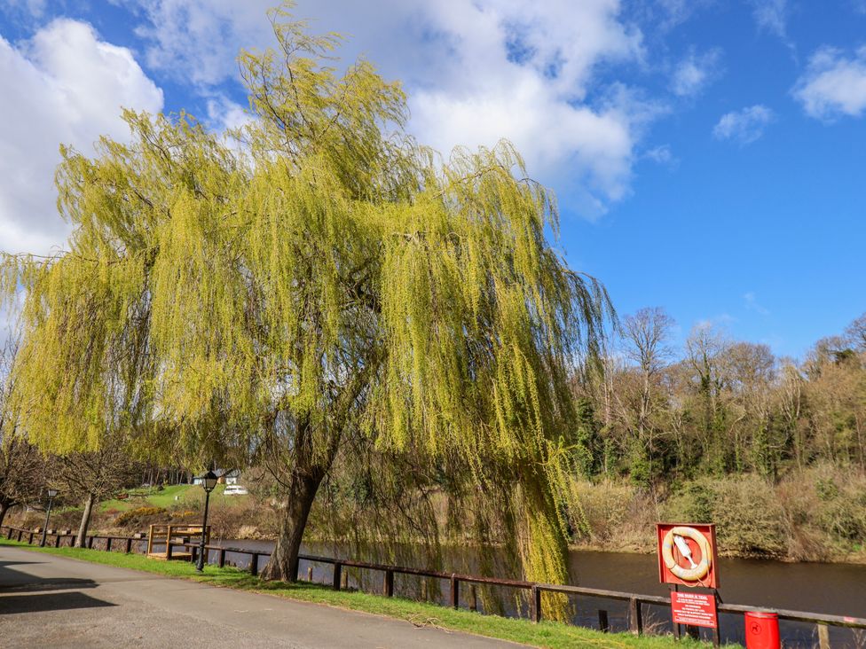 A willow tree beside a river with a sign at Waterside Cottage in Whitby