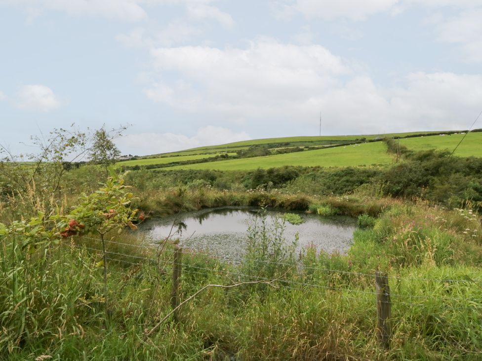 A pond surrounded by grasses and trees in Pennington near Ulverston