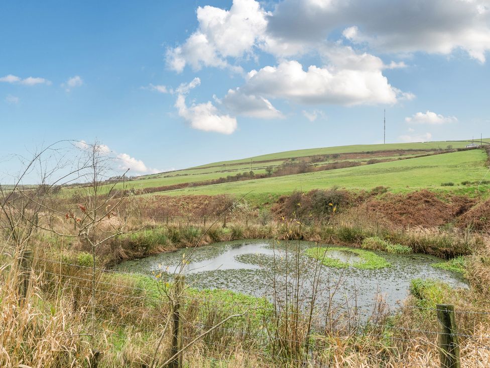 A pond surrounded by grass and hills at Ash Lodge Pennington near Ulverston