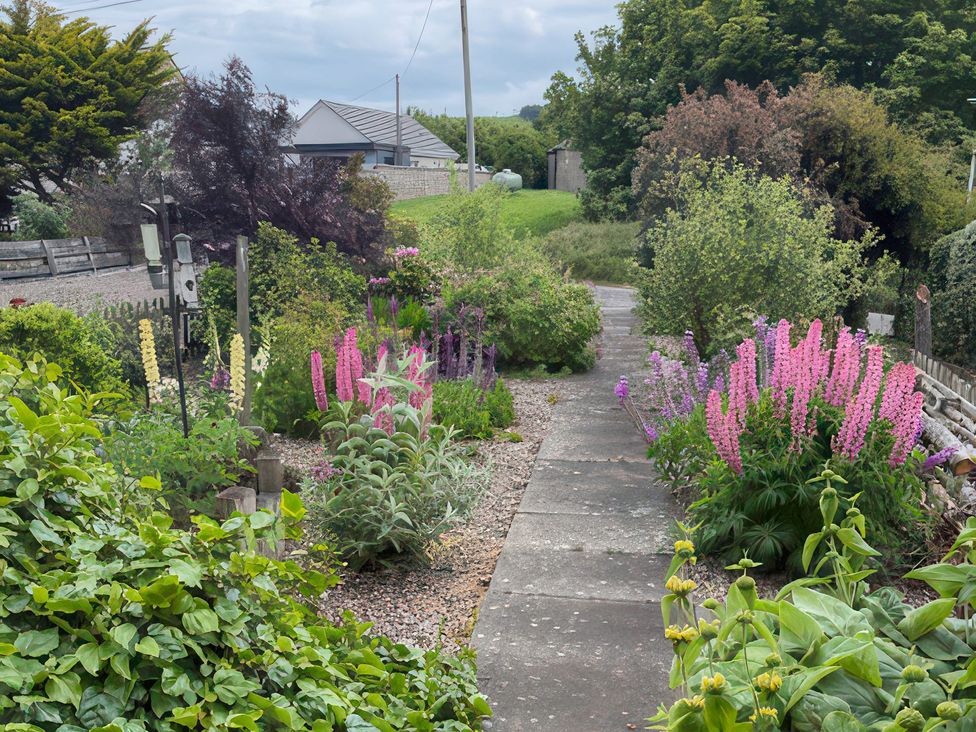 A garden pathway surrounded by flowers at 5 Distillery Cottages in Banff