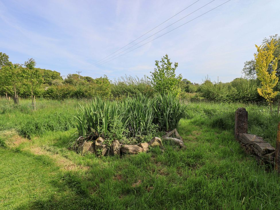 A garden area with plants and trees at Kestrel Cottage Beckside near Cartmel