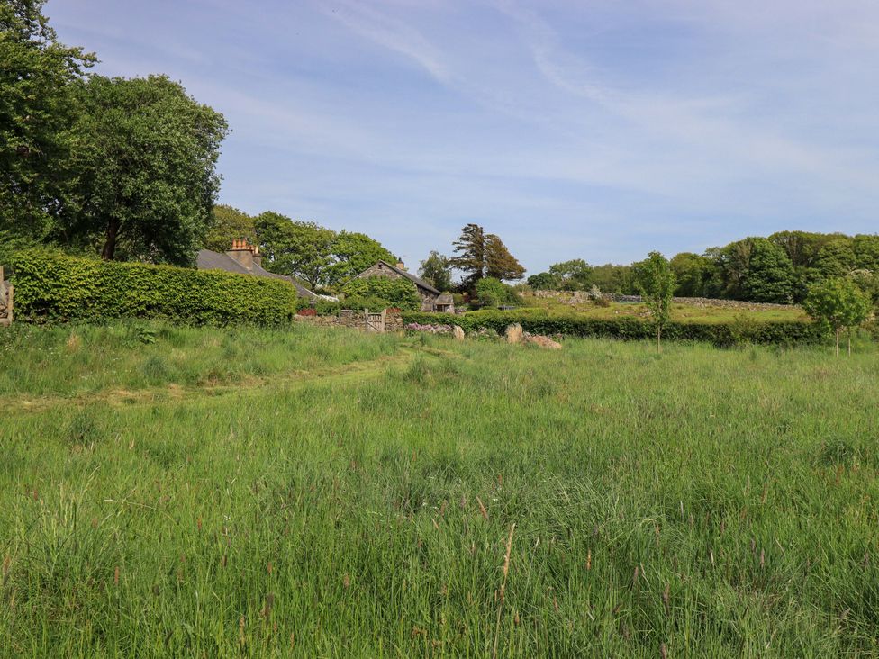 A grassy area with trees and a house at Kestrel Cottage Beckside near Cartmel
