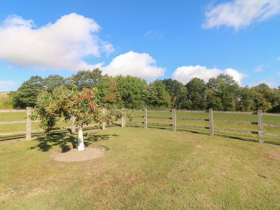 An outdoor area with a tree, fence, and grass at The Dairy in Eastwood
