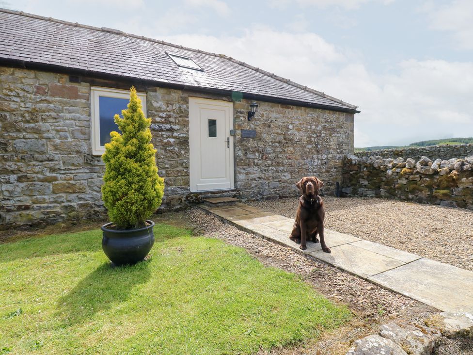 An outdoor area featuring a dog sitting by a plant at Gallow Law Cottage in Bellingham