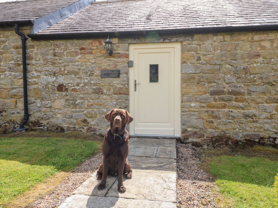 Shepherds Burn Cottage - Northumberland - 954603 - thumbnail photo 3