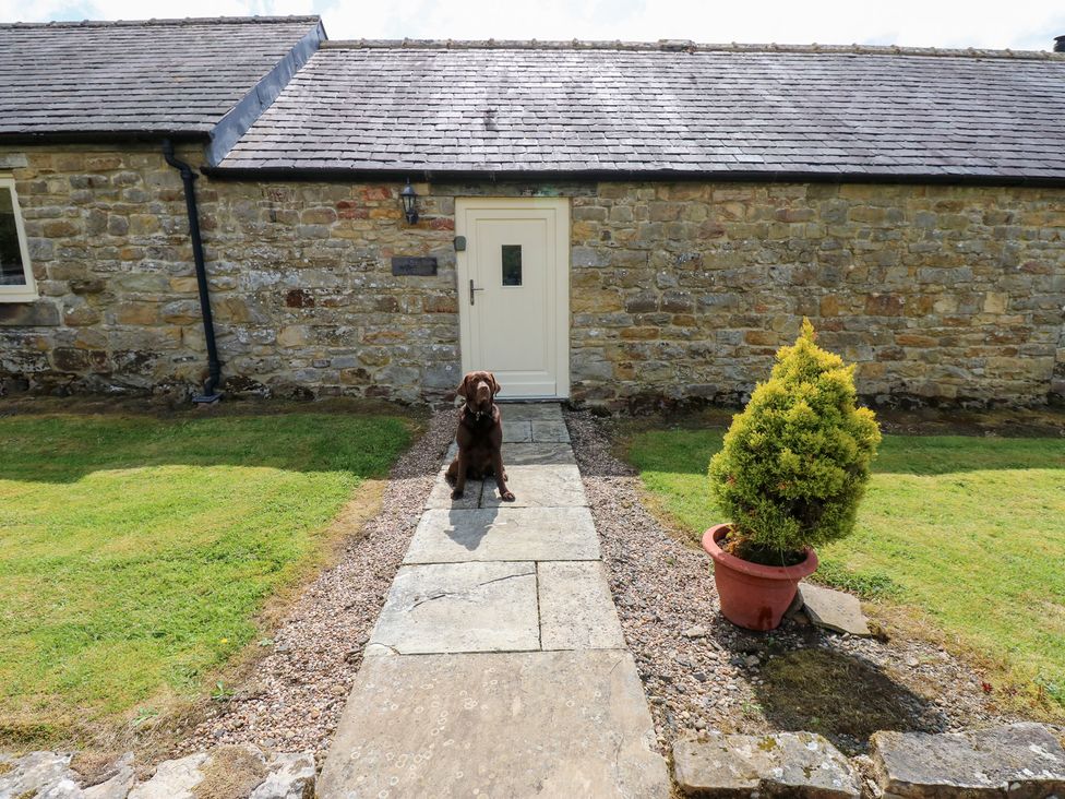 A dog sitting on a pathway in front of a stone wall at Shepherds Burn Cottage in Bellingham