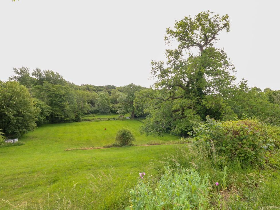 An outdoor area with trees and a grass field at Mallows Byre Yetminster
