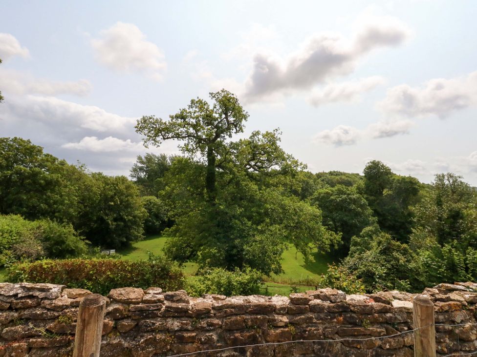 A view of trees and grass with a stone wall at Mallows Byre in Yetminster