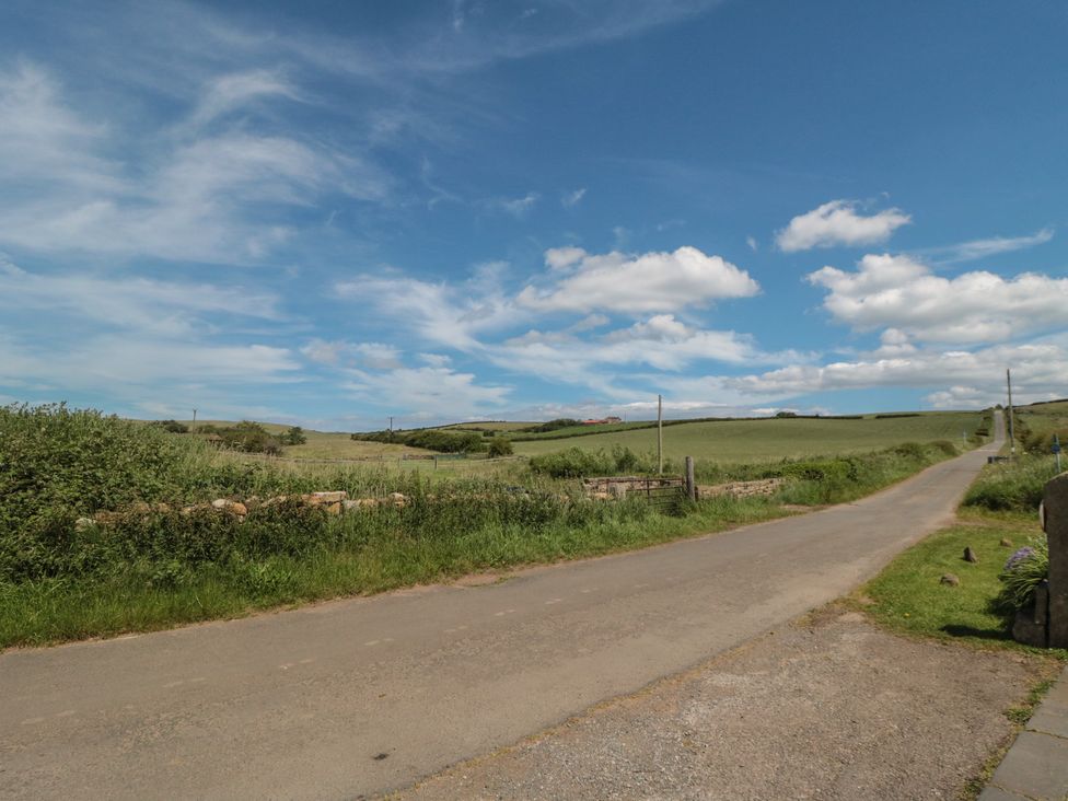 A road alongside grass and hedges at Field Cottage in Staithes