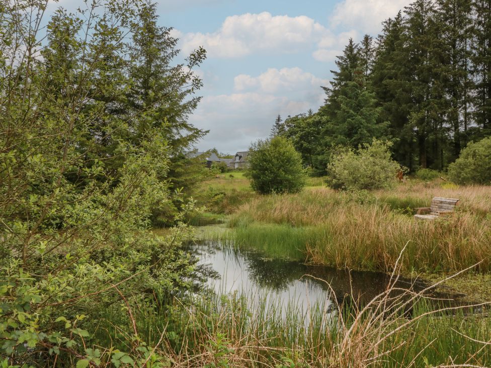 A scenic view of a pond surrounded by trees and grass at Corrafeckloch Forest Cottages Glentrool near Newton Stewart
