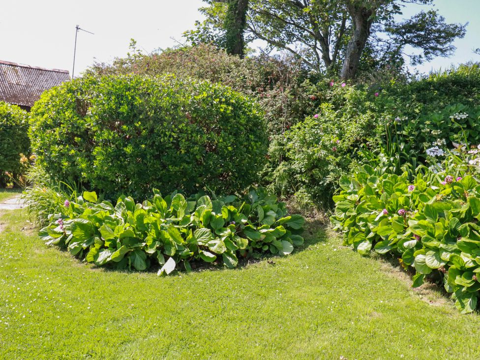 A garden with bushes and flowers at Penrose Farm Cottage St Keverne